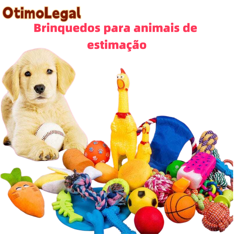 Kit 10/6 Brinquedos Mordedores Cachorro Filhote Anti-stress Pet Ranger os dentes Limpeza da boca – foto na Shopee Brasil