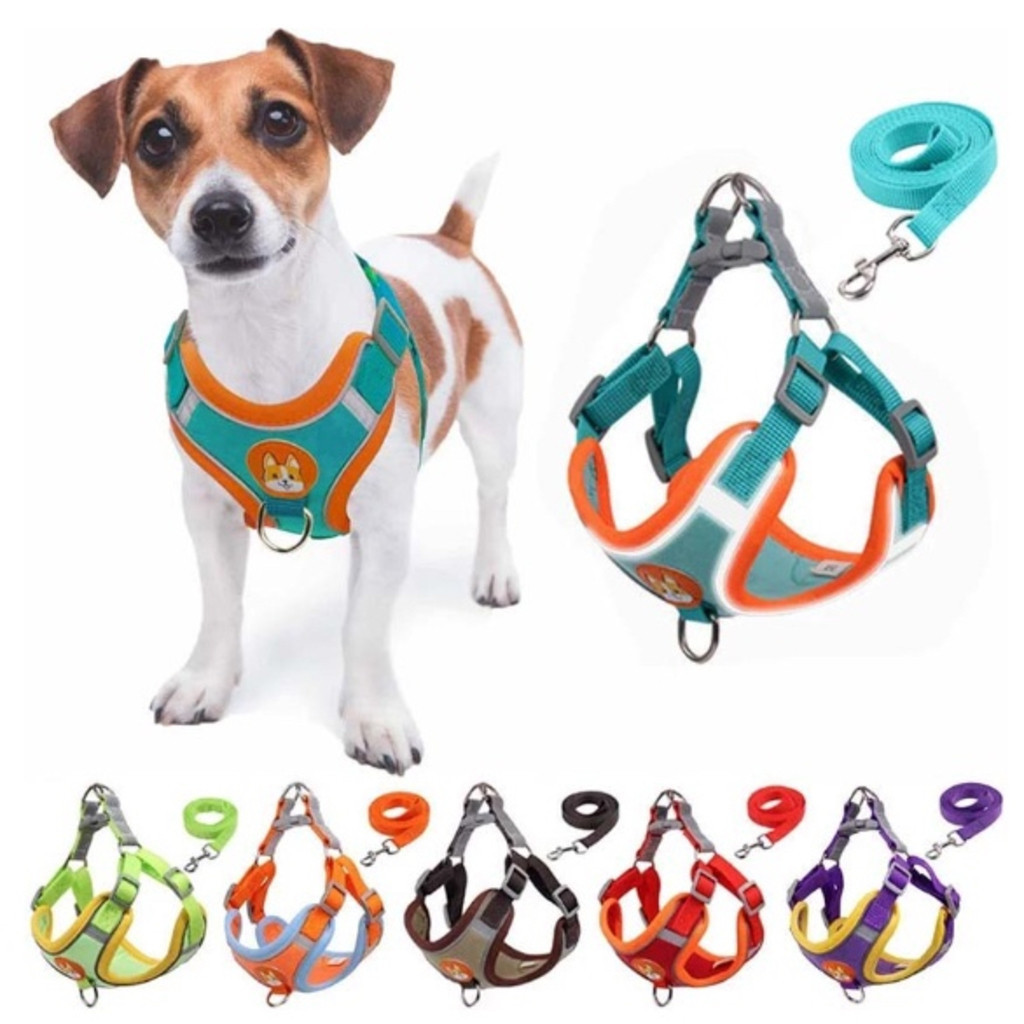 Coleira Peitoral Cachorro E Gato, Conjunto De Guia + Coleira Tipo Colete Para Pet Pequenos E Médios – foto na Shopee Brasil