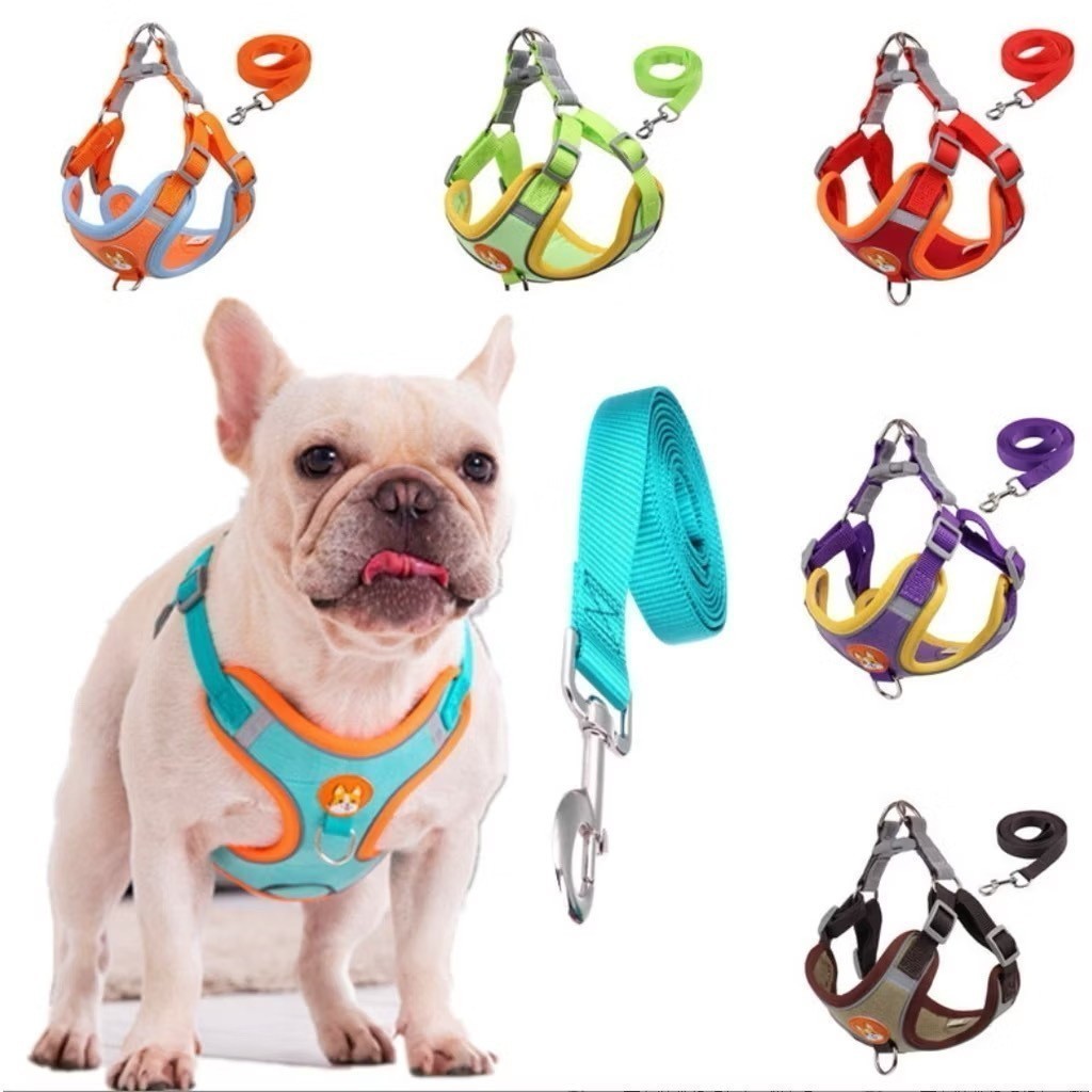 Coleira Peitoral Cachorro E Gato, Conjunto De Guia + Coleira Tipo Colete Para Pet Pequenos E Médios – foto na Shopee Brasil