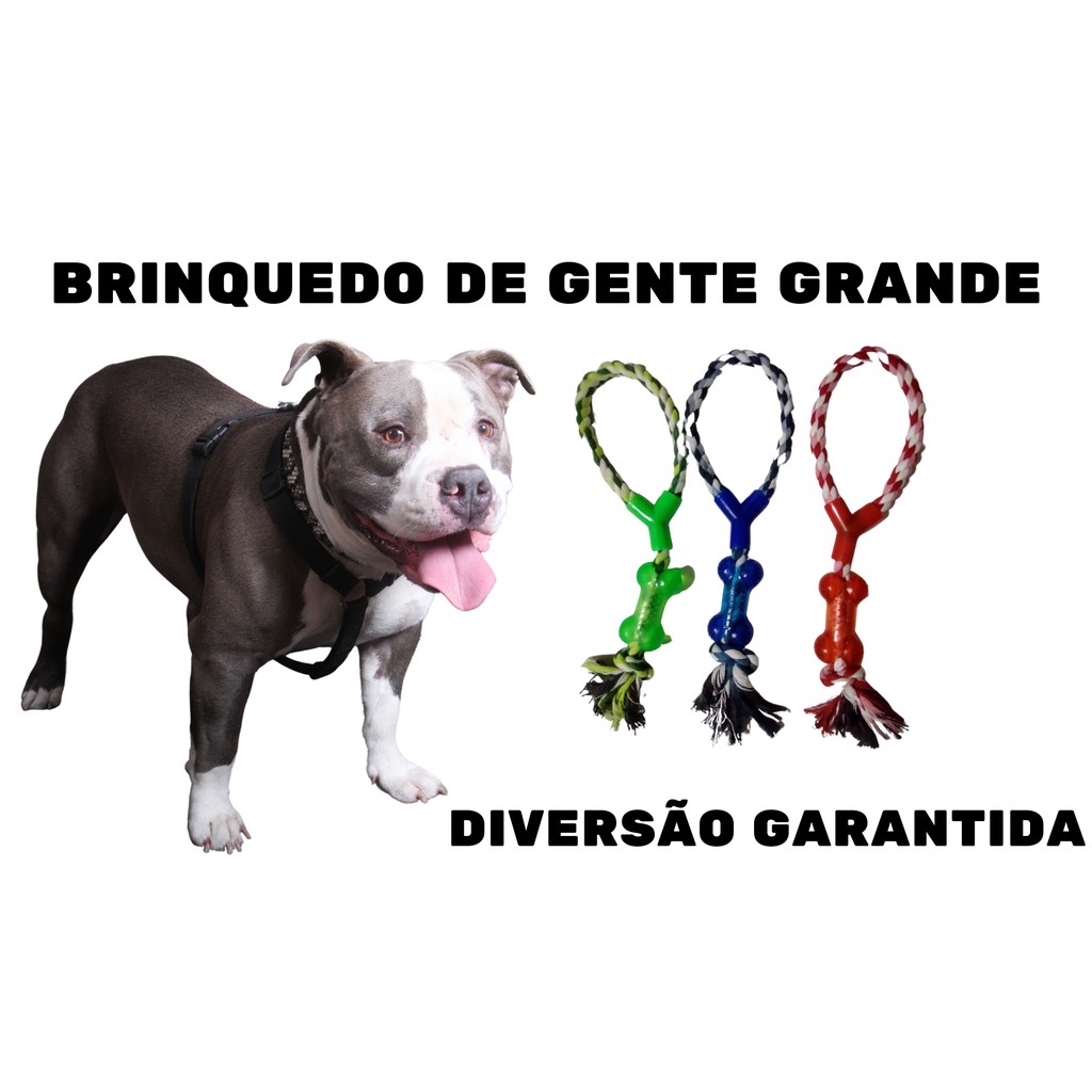 Brinquedo Mordedor Interativo Cachorro Caes Corda com Osso - Brinque com seus Cachorros Cães de Cabo de Guerra, Brinquedos PET, para animal, DOG, BRINQUEDO CORDA PARA CAES, BRINQUEDO DE CACHORRO, BRINQUEDOS PARA CACHORROS, BRINQUEDOS PET SHOP DOG – foto na Shopee Brasil